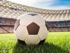 国际奥委会,宣布东京奥,运延期将带,金宝博188bet体育官网,Bet188,Sports,足球直播,篮球赛事,体育高清,NBA直播