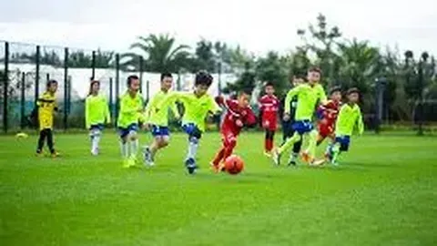 金宝博194bet体育 产品 025914 ld9