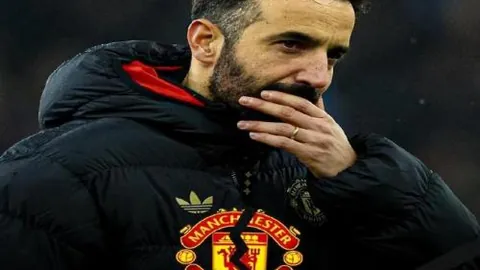 金宝博194bet体育 产品 085558 oo1